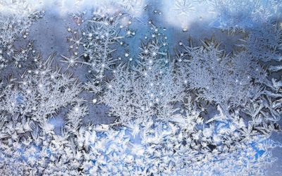 Beautiful Frost Patterns On Glass In Winter