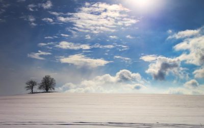 Two Trees On The Winter Plain With Cloudy Blue Sky