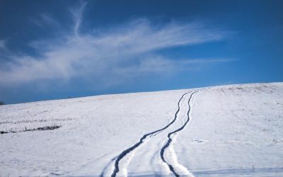 Winter Car Tracks On The Snowy Hill