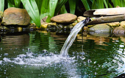 Garden Lake With Water Flow From Bamboo Pipe